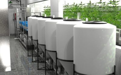 Early-Stage Indoor Grow Facility Design