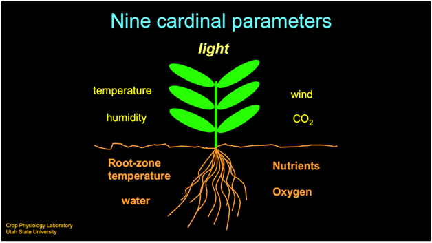 Nine Cardinal Parameters Impacting Plant Growth