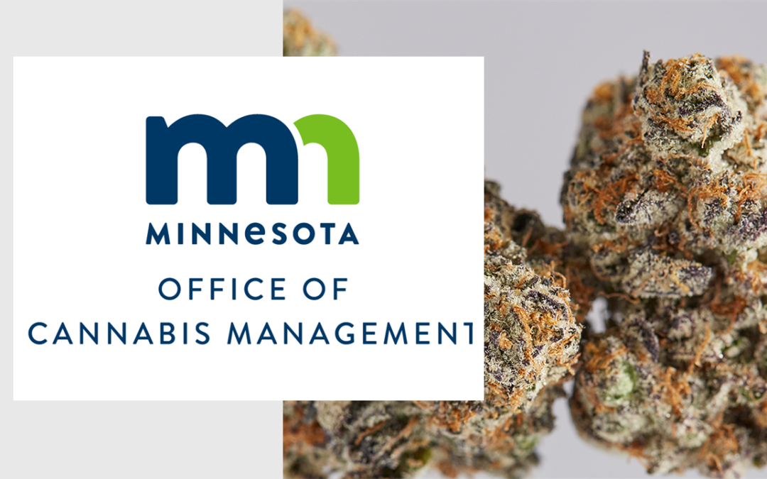 Minnesota Microbusiness and Mezzobusiness Licensing